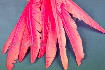 Декоративный Пучок из перьев, перо 25см/розовый - купить в Тольятти. Цена: 14.40 руб.