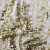 Трикотажное полотно, Сетка с пайетками, шир.130 см, #315, цв.-белый/золото - купить в Тольятти. Цена 693.39 руб.