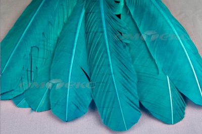 Декоративный Пучок из перьев, перо 24см/голубой - купить в Тольятти. Цена: 12.19 руб.