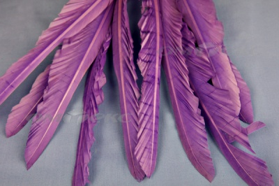Декоративный Пучок из перьев, перо 25см/фиолетовый - купить в Тольятти. Цена: 12.19 руб.