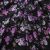 Плательная ткань "Фламенко" 20.1, 80 гр/м2, шир.150 см, принт растительный - купить в Тольятти. Цена 241.49 руб.