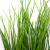 Трава искусственная -4, шт  (осока 50 см/8 см  7 листов)				 - купить в Тольятти. Цена: 130.73 руб.